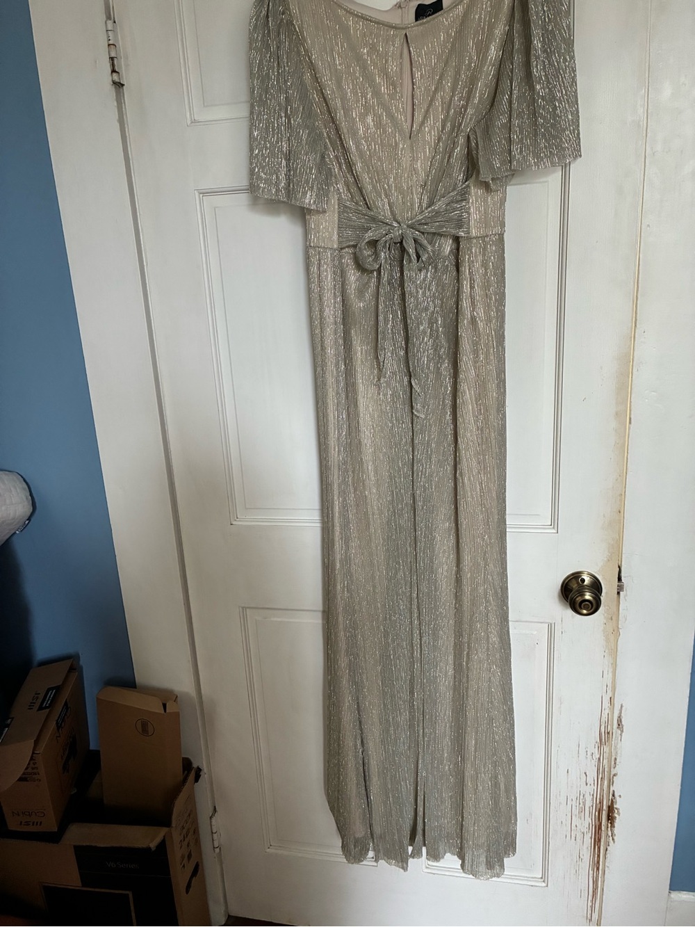 Adrianna Papell Shimmery Champagne Metallic Dress